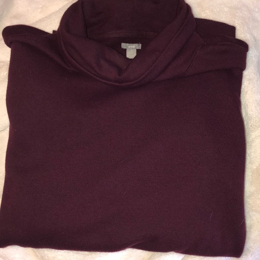 Aerie turtle neck sweater